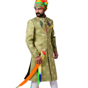 Spring Bug Golden Brocade Rajputana Achkan - Royal Art | Jaipurio